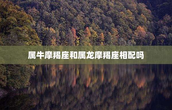 属牛摩羯座和属龙摩羯座相配吗