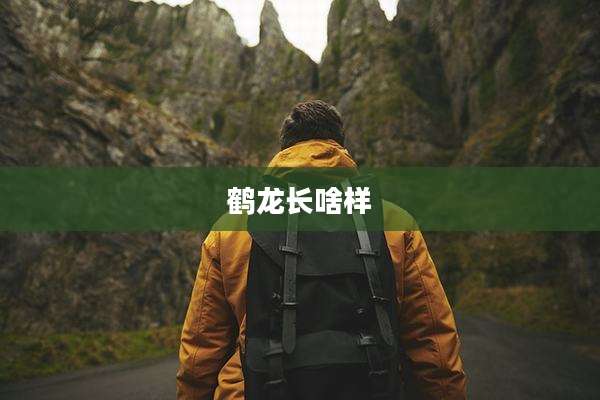 鹤龙长啥样