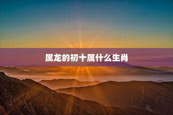 属龙的初十属什么生肖