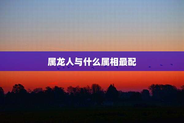 属龙人与什么属相最配