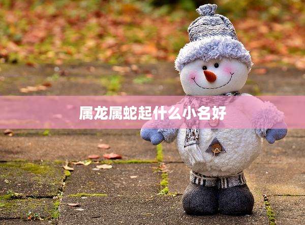 属龙属蛇起什么小名好