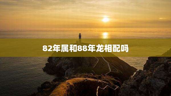 82年属和88年龙相配吗