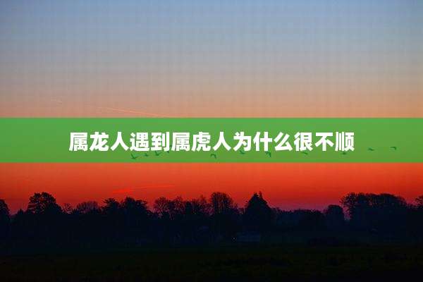 属龙人遇到属虎人为什么很不顺