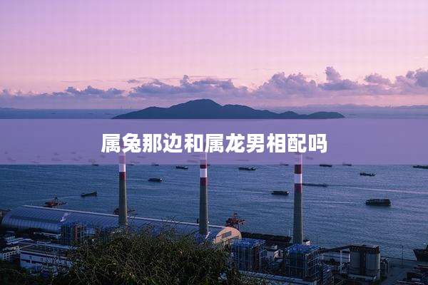 属兔那边和属龙男相配吗