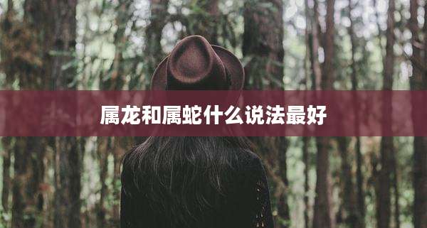 属龙和属蛇什么说法最好