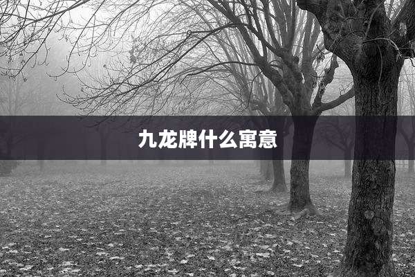 九龙牌什么寓意