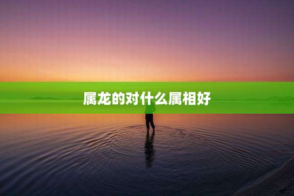 属龙的对什么属相好