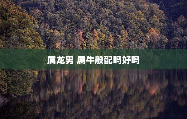 属龙男 属牛般配吗好吗