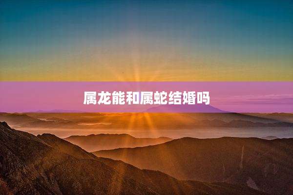 属龙能和属蛇结婚吗