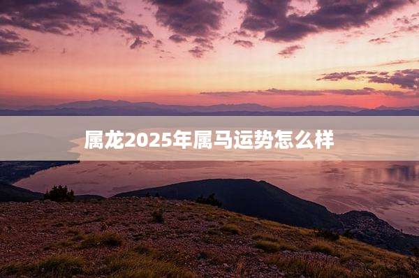 属龙2025年属马运势怎么样
