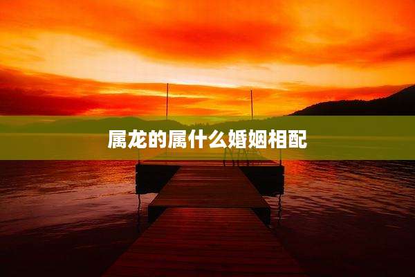 属龙的属什么婚姻相配