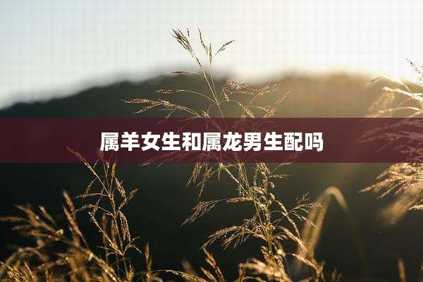 属羊女生和属龙男生配吗