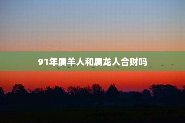 91年属羊人和属龙人合财吗