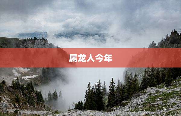属龙人今年