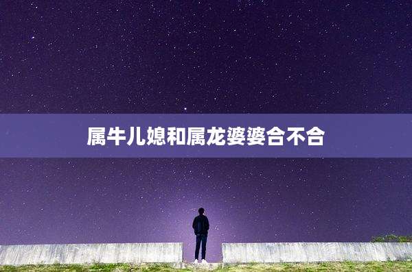 属牛儿媳和属龙婆婆合不合