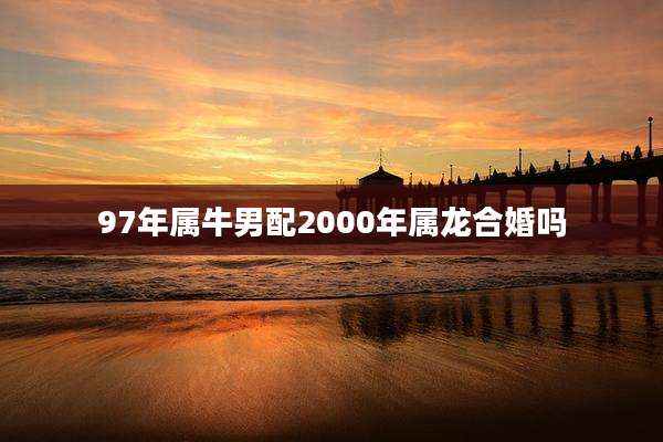 97年属牛男配2000年属龙合婚吗