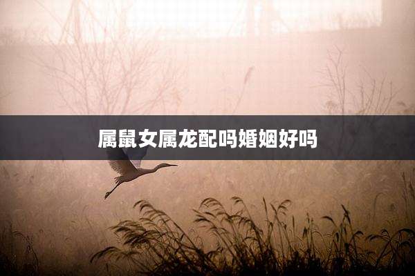 属鼠女属龙配吗婚姻好吗