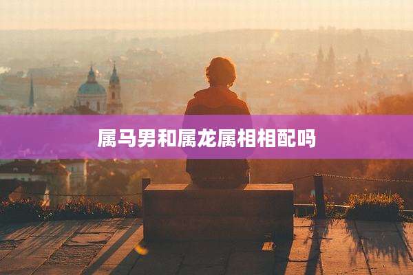 属马男和属龙属相相配吗
