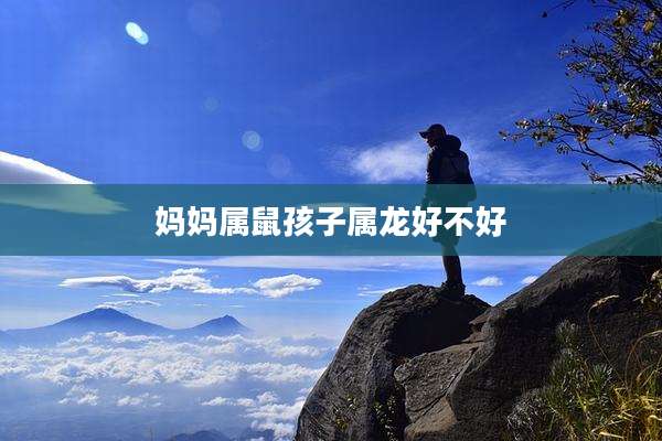 妈妈属鼠孩子属龙好不好