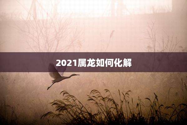 2021属龙如何化解