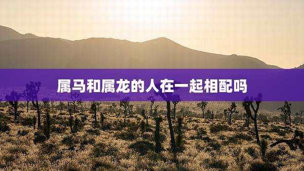 属马和属龙的人在一起相配吗
