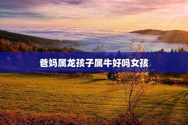 爸妈属龙孩子属牛好吗女孩