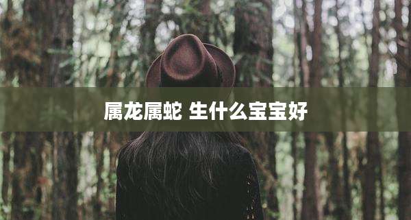 属龙属蛇 生什么宝宝好