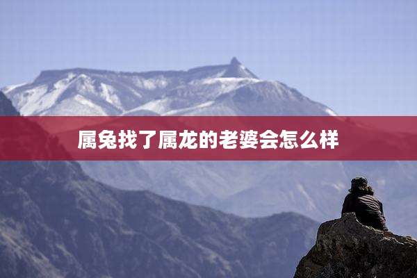 属兔找了属龙的老婆会怎么样