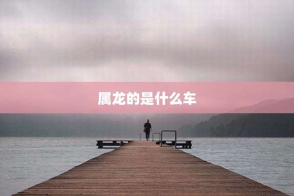 属龙的是什么车