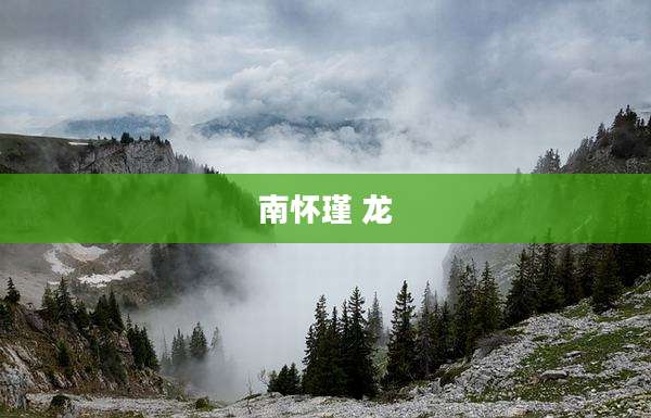 南怀瑾 龙
