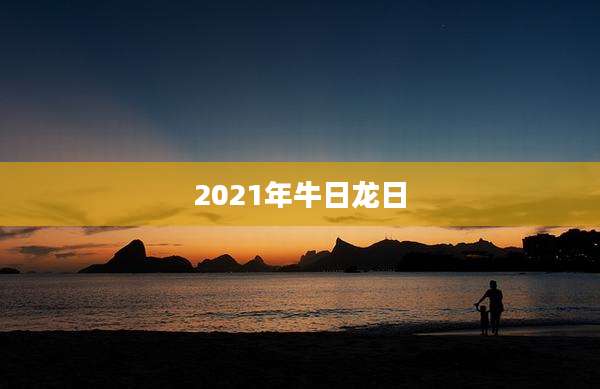 2021年牛日龙日