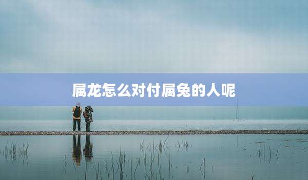 属龙怎么对付属兔的人呢