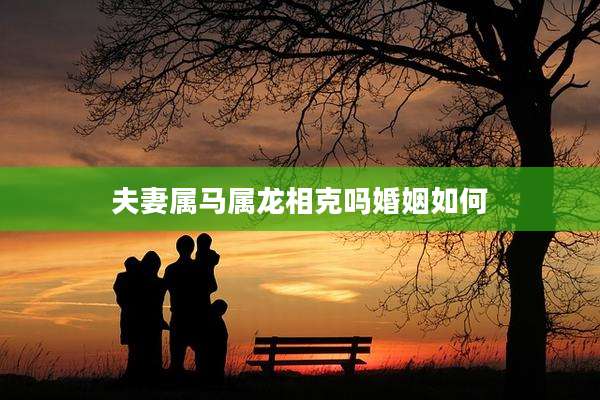 夫妻属马属龙相克吗婚姻如何