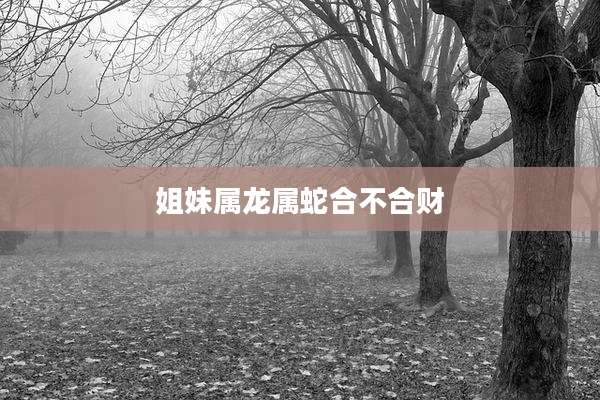 姐妹属龙属蛇合不合财