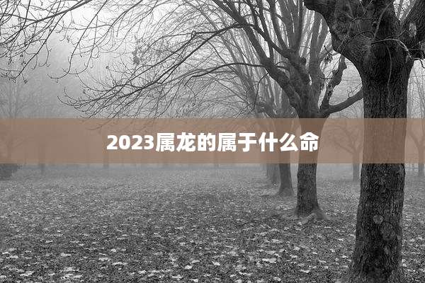 2023属龙的属于什么命