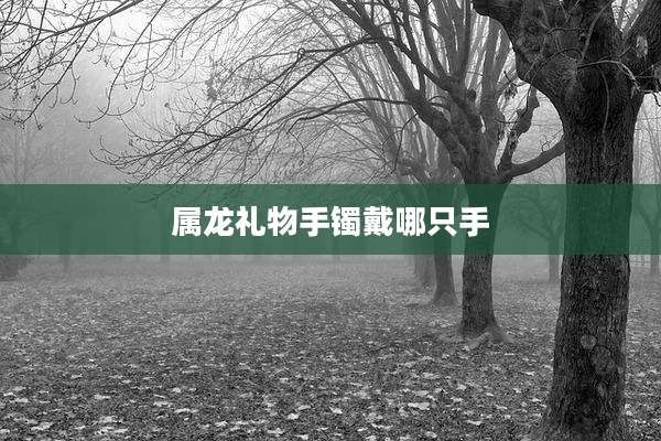 属龙礼物手镯戴哪只手