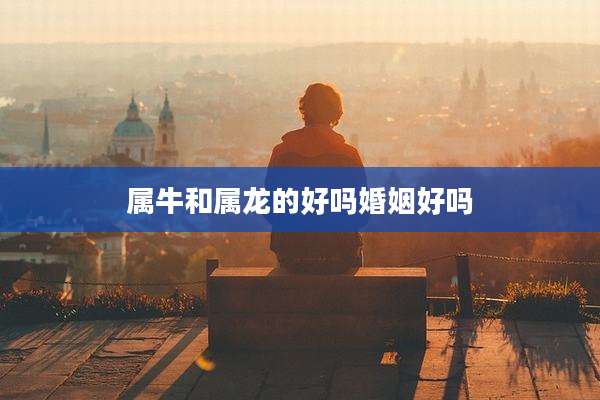属牛和属龙的好吗婚姻好吗
