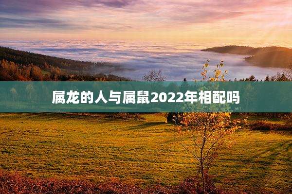 属龙的人与属鼠2022年相配吗