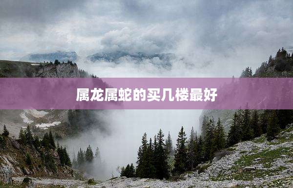 属龙属蛇的买几楼最好