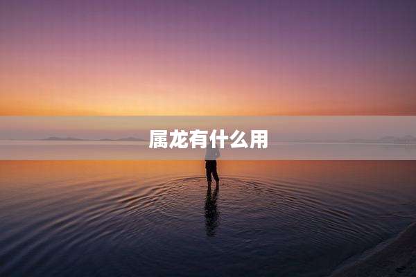 属龙有什么用