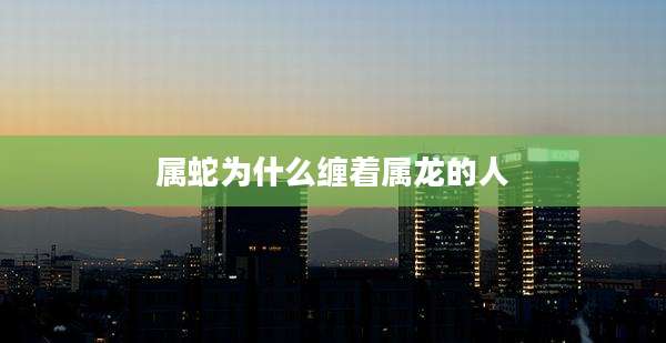 属蛇为什么缠着属龙的人