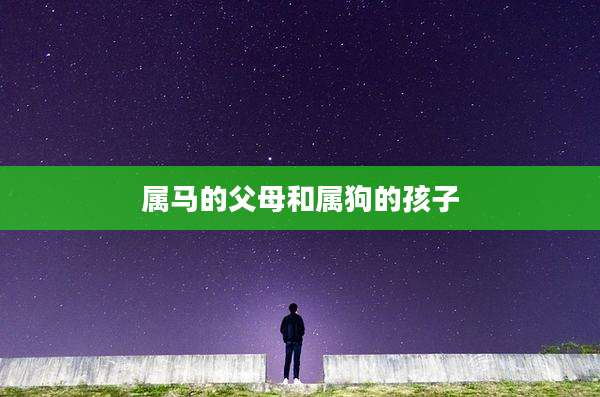属马的父母和属狗的孩子