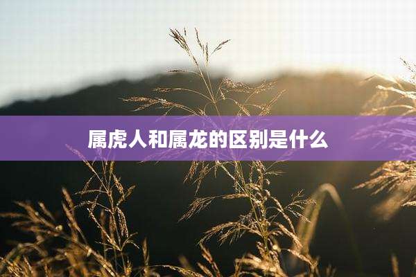 属虎人和属龙的区别是什么