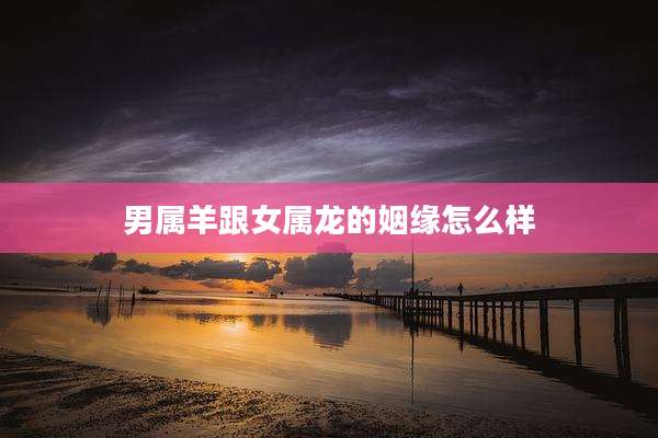 男属羊跟女属龙的姻缘怎么样