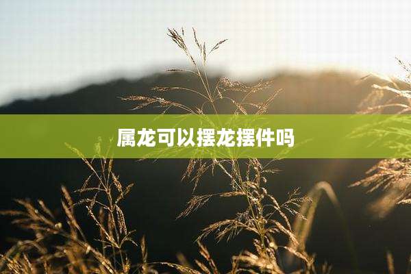 属龙可以摆龙摆件吗