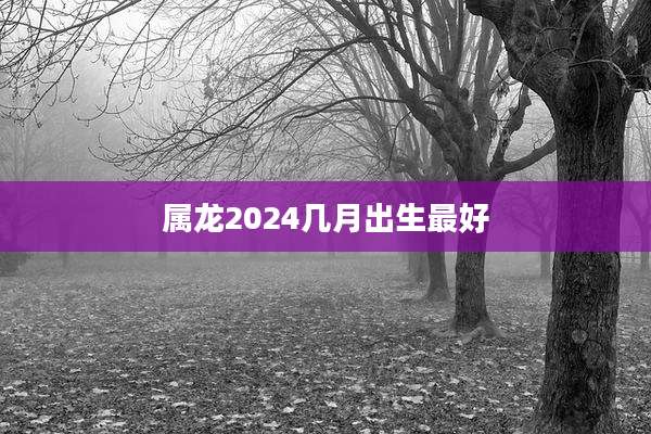 属龙2024几月出生最好