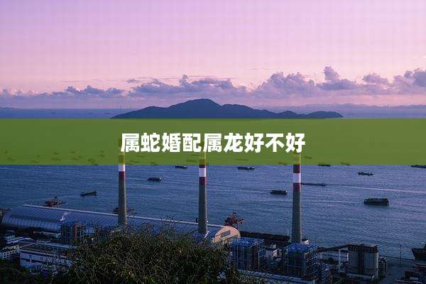 属蛇婚配属龙好不好