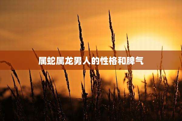 属蛇属龙男人的性格和脾气