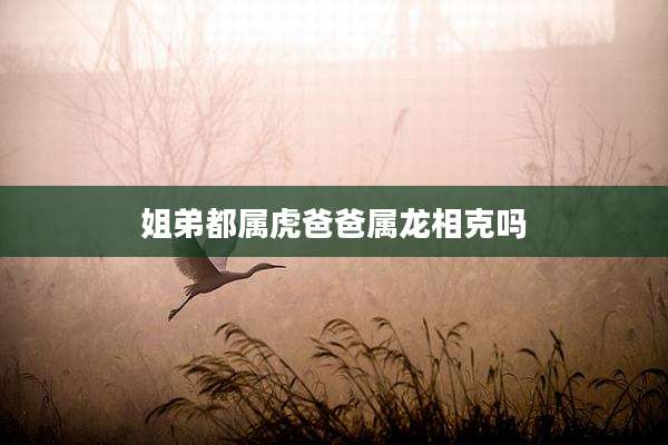 姐弟都属虎爸爸属龙相克吗