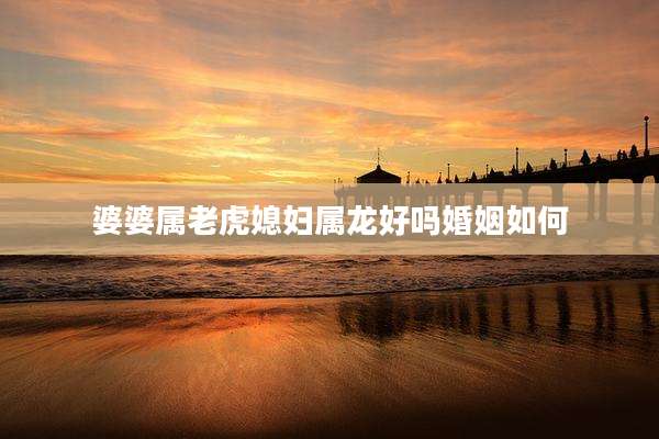婆婆属老虎媳妇属龙好吗婚姻如何